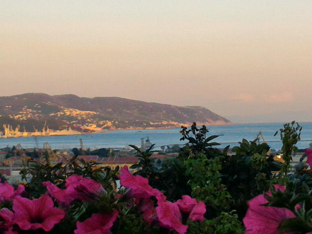 Dreams Guest House La Spezia Exterior foto